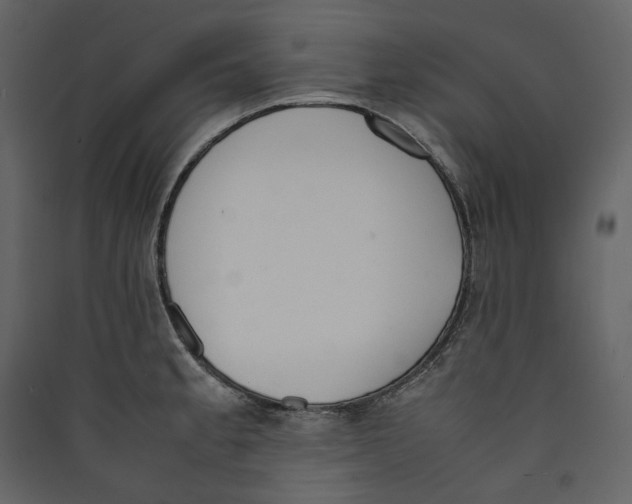 X0000089401189200707131733