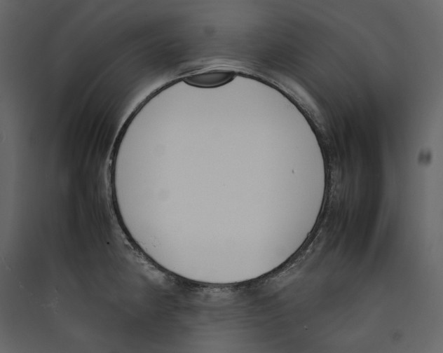 X0000089401190200707131733