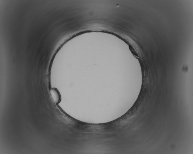 X0000089401191200707131733