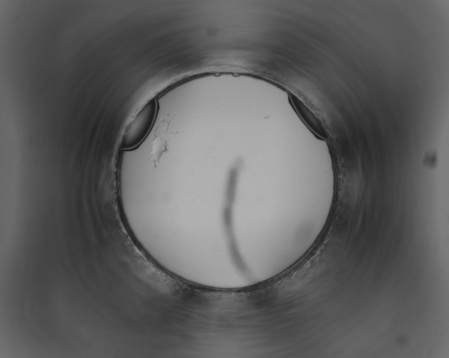 X0000089401192200707131733