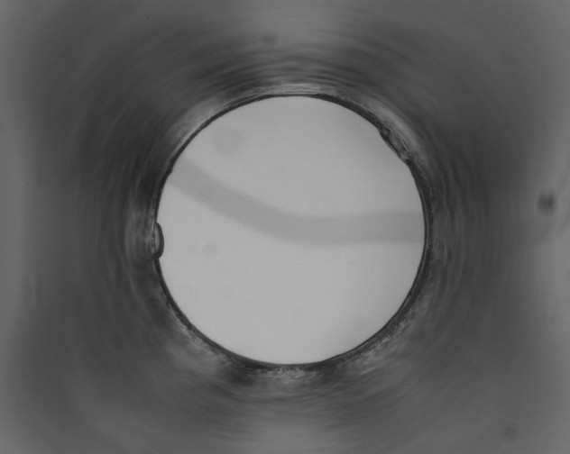 X0000089401193200707131733