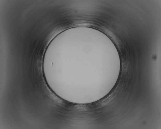 X0000089401194200707131733