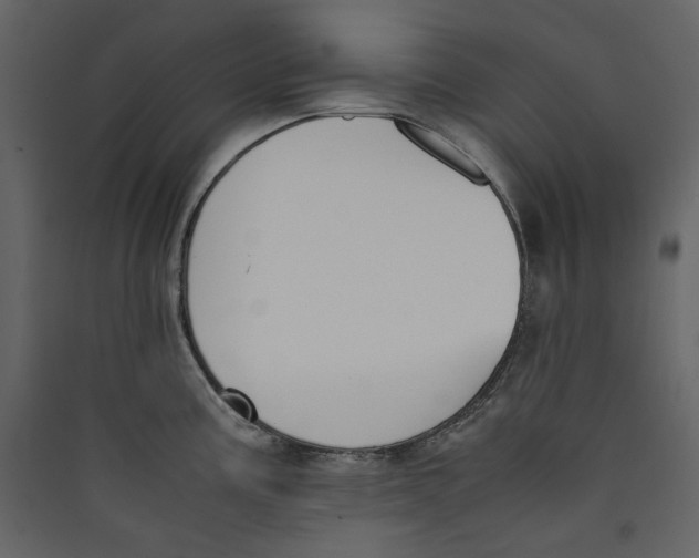 X0000089401195200707131733