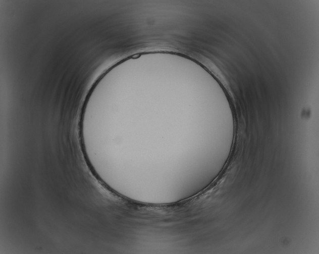 X0000089401197200707131733
