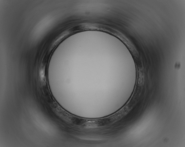 X0000089401198200707131733