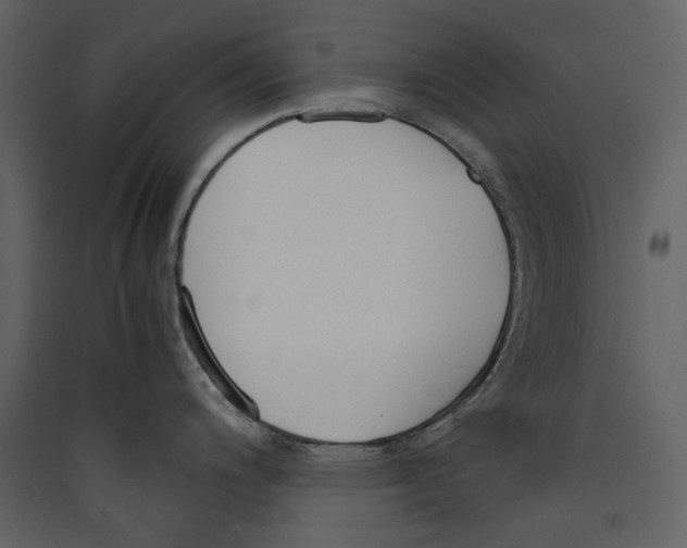 X0000089401200200707131733