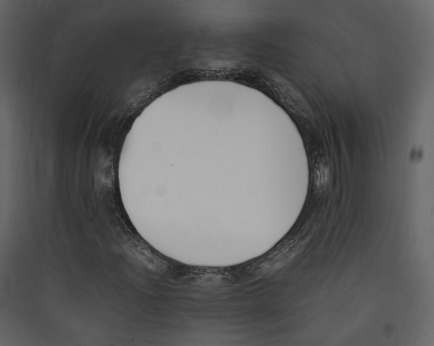 X0000089401204200707131733