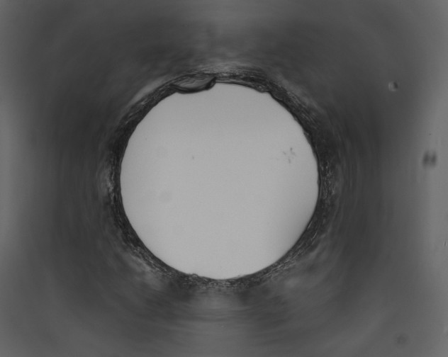 X0000089401206200707131733