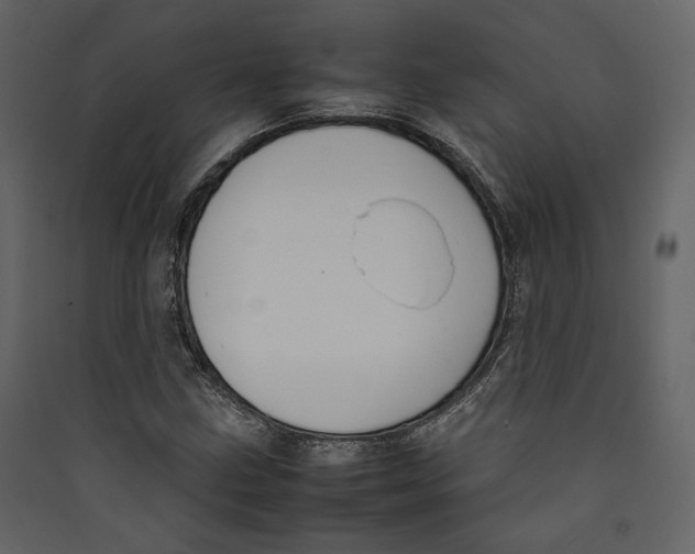 X0000089401211200707131733