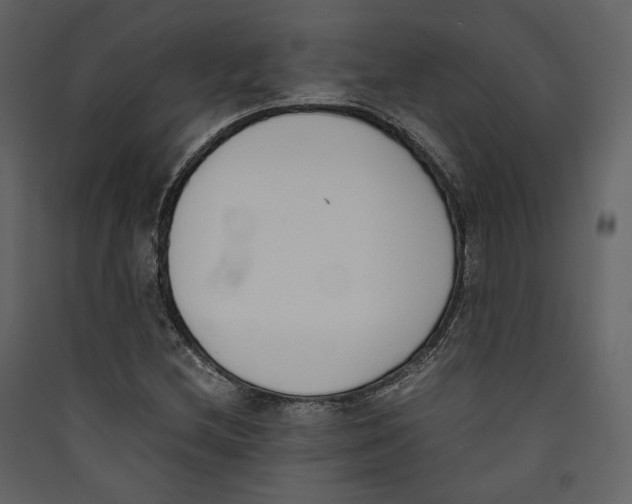 X0000089401212200707131733