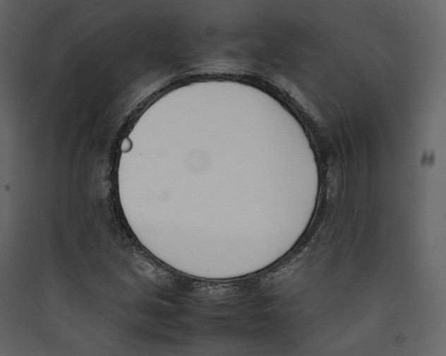 X0000089401213200707131733