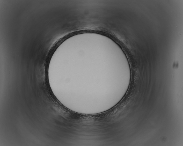X0000089401214200707131733