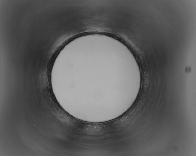 X0000089401215200707131733