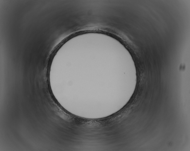 X0000089401216200707131733