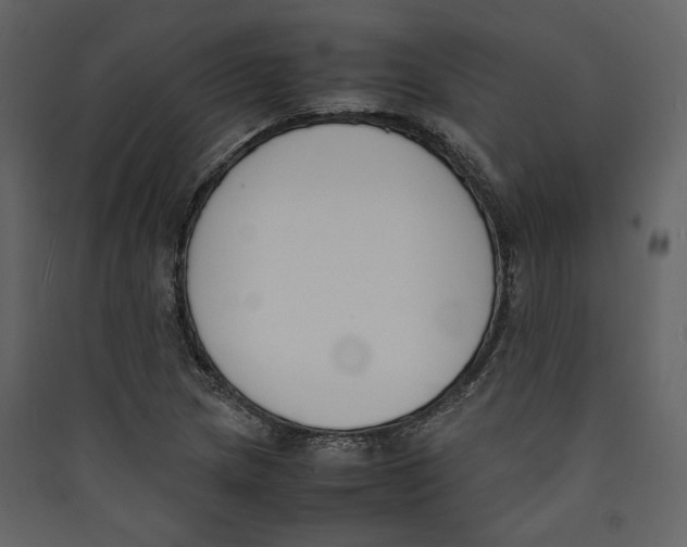 X0000089401217200707131733