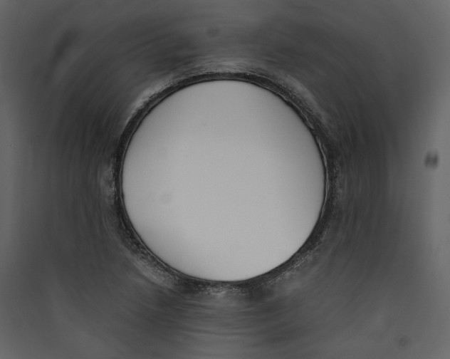 X0000089401218200707131733