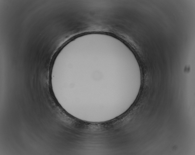 X0000089401220200707131733