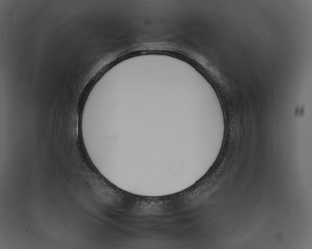 X0000089401221200707131733