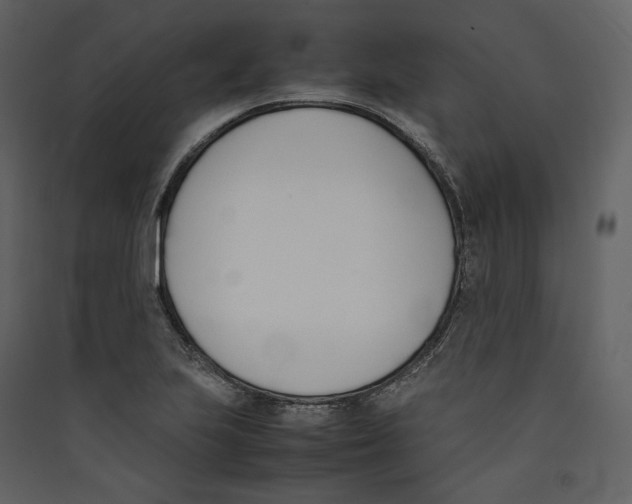 X0000089401223200707131733
