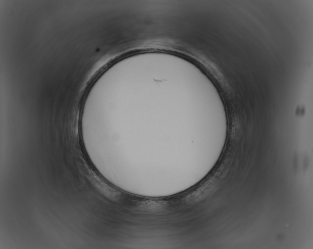 X0000089401224200707131733