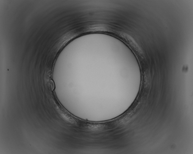 X0000089401225200707131733