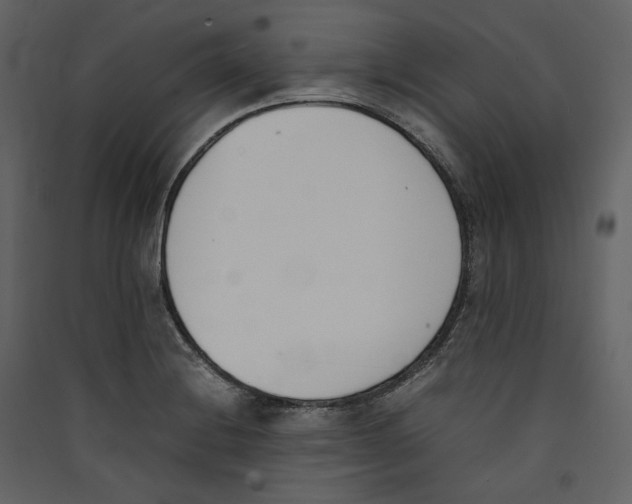 X0000089401228200707131733