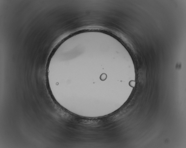 X0000089401229200707131733