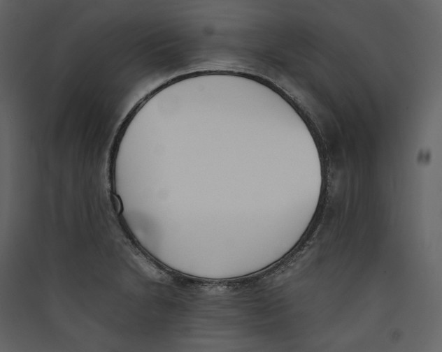 X0000089401230200707131733
