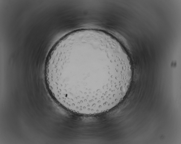 X0000089401231200707131733