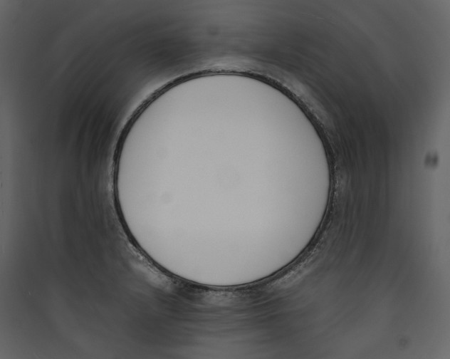 X0000089401232200707131733