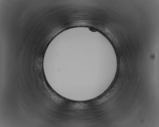 X0000089401233200707131733