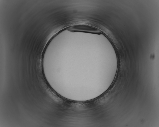 X0000089401234200707131733