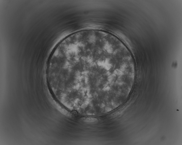 X0000089401235200707131733