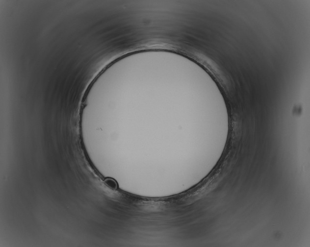 X0000089401236200707131733