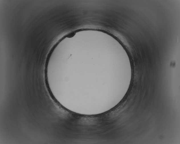 X0000089401237200707131733