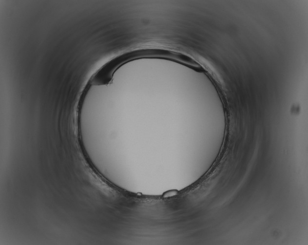 X0000089401238200707131733