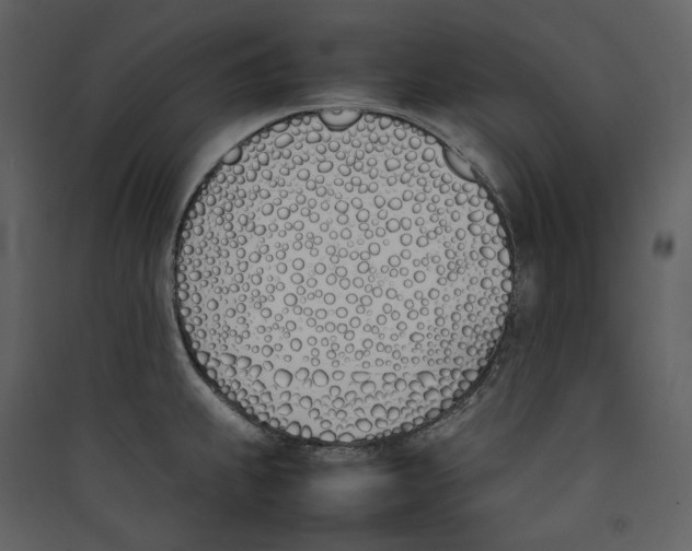 X0000089401239200707131733