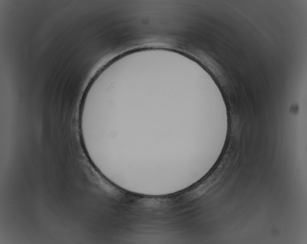 X0000089401240200707131733