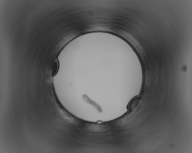 X0000089401241200707131733