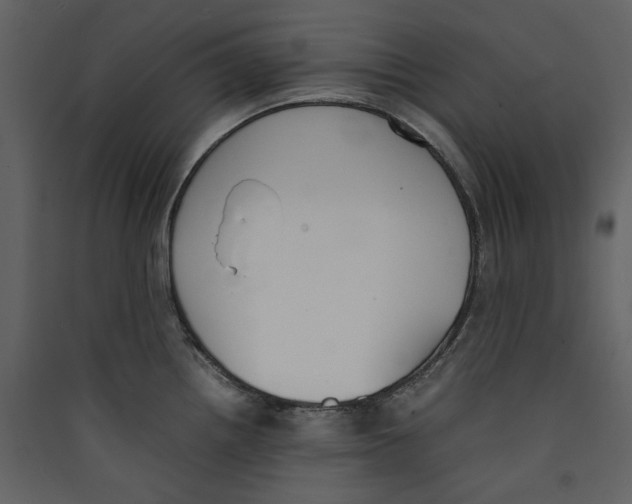 X0000089401242200707131733