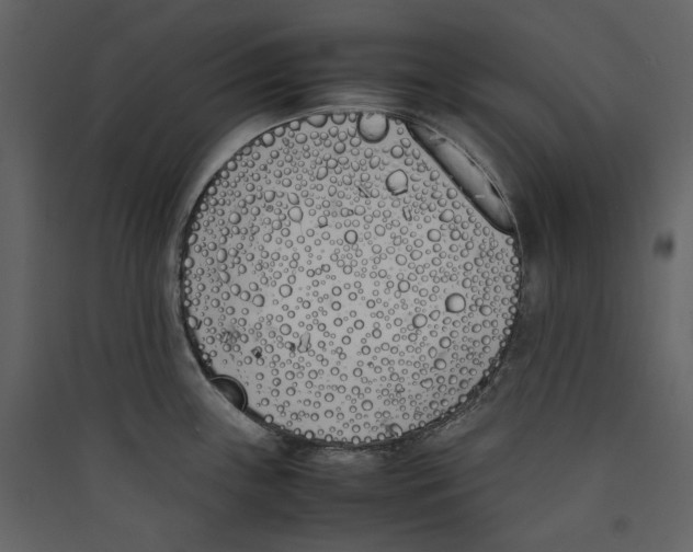 X0000089401243200707131733