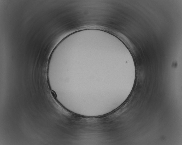 X0000089401244200707131733