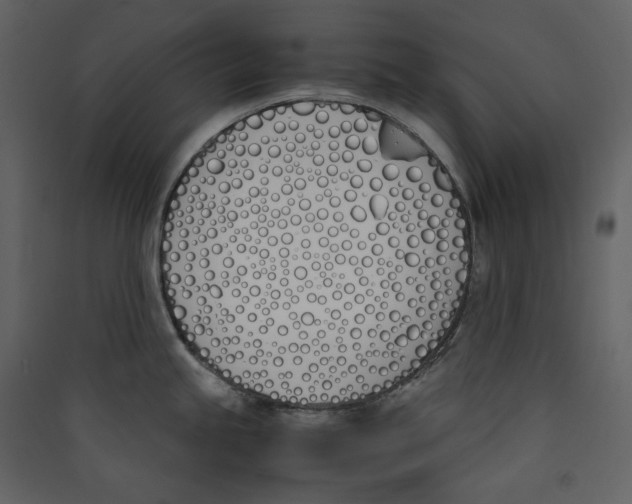 X0000089401245200707131733