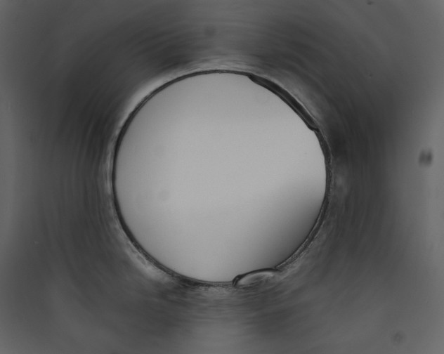 X0000089401246200707131733