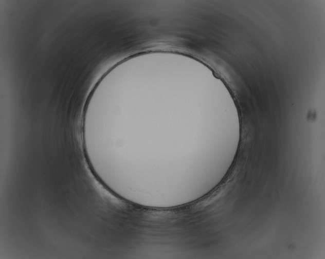 X0000089401247200707131733