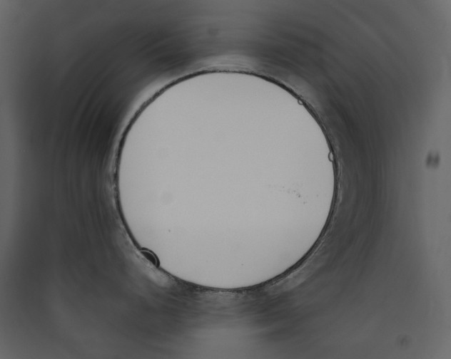 X0000089401248200707131733