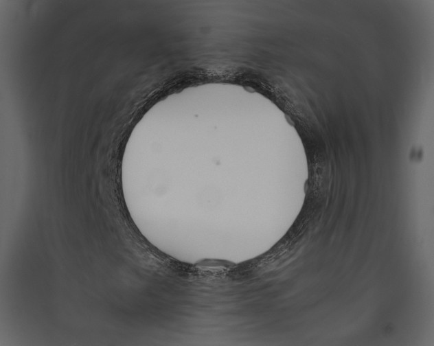 X0000089401249200707131733