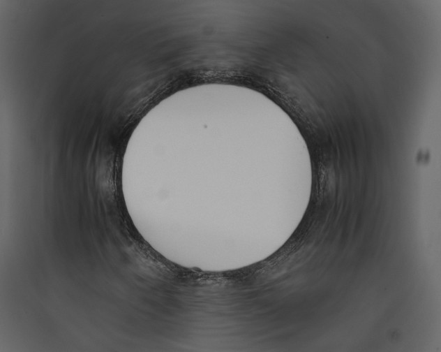 X0000089401250200707131733