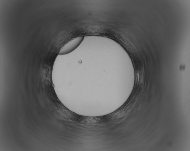 X0000089401251200707131733