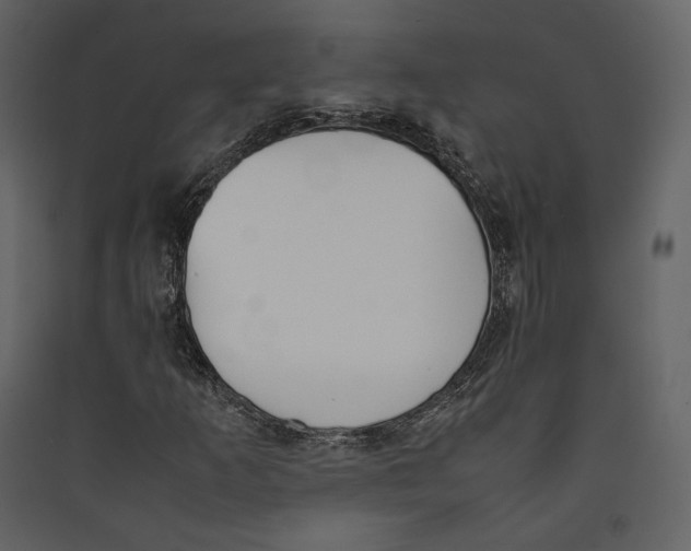 X0000089401253200707131733